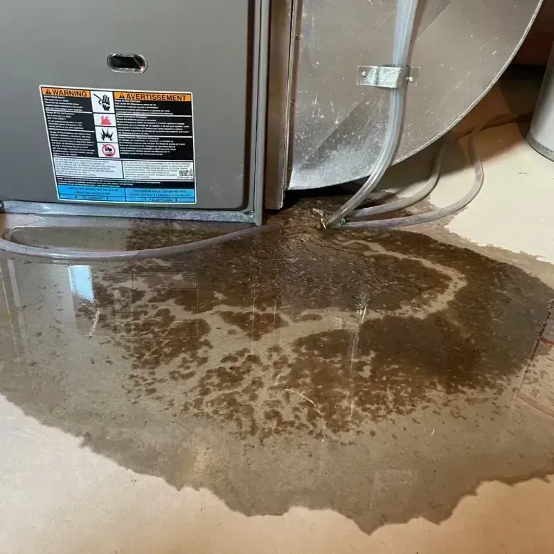 Appliance Leak Cleanup in Montgomery County, TX